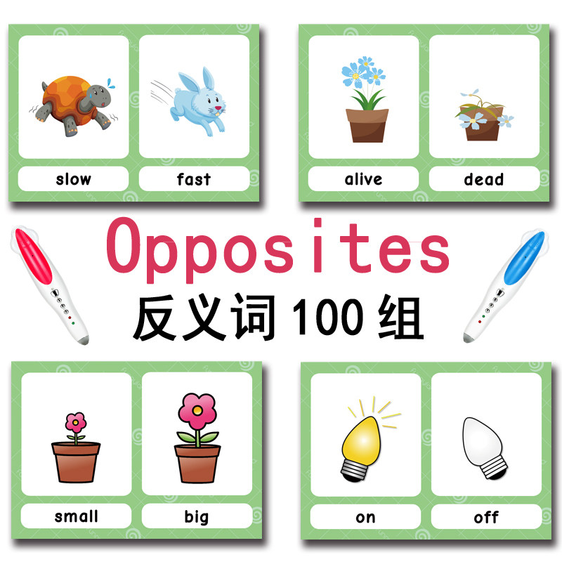 Die 100 Gruppen Gegensätze Ler – Kid Educational Bewertung und Preis